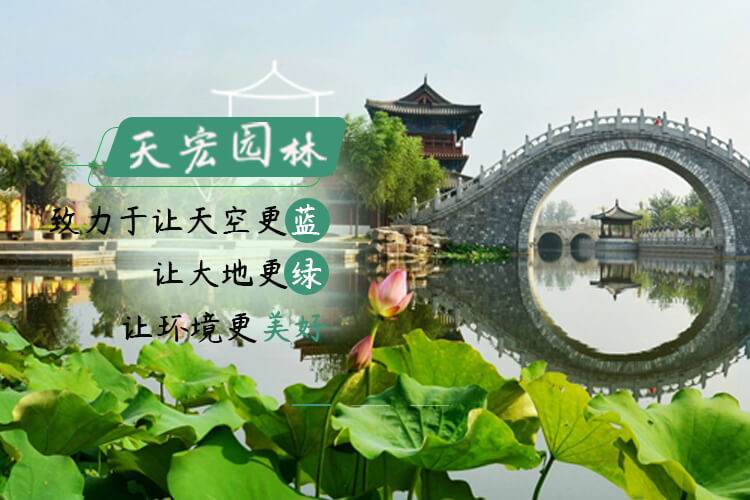 北京天宏園林綠化養護草莓视频app污下载-草莓app黄-草莓黄色软件-草莓视频app入口